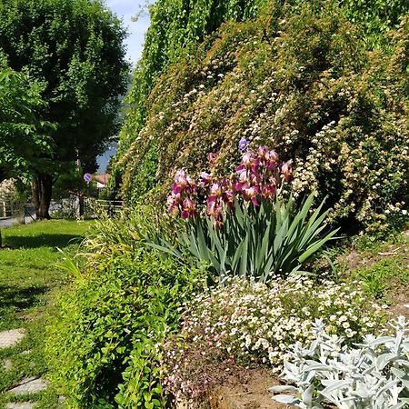 ליירנה Il Bogno B&B מראה חיצוני תמונה