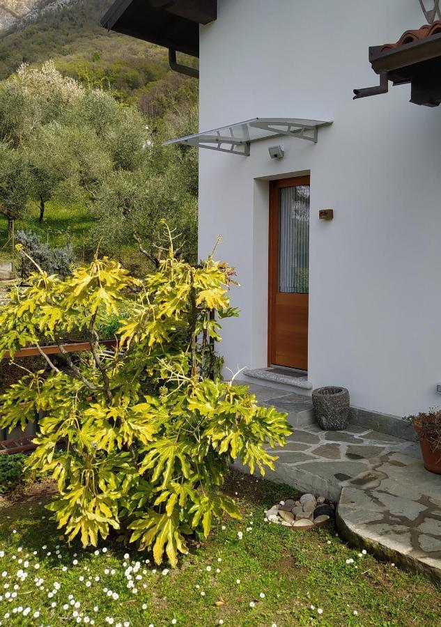 ליירנה Il Bogno B&B מראה חיצוני תמונה