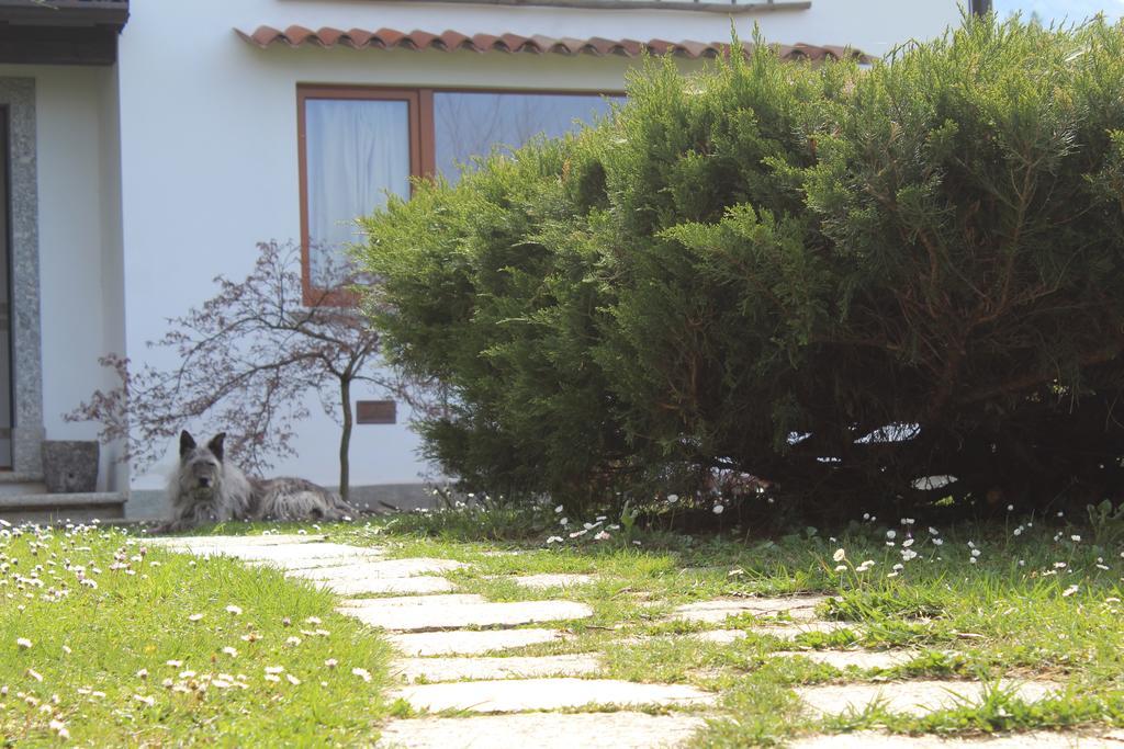 ליירנה Il Bogno B&B מראה חיצוני תמונה
