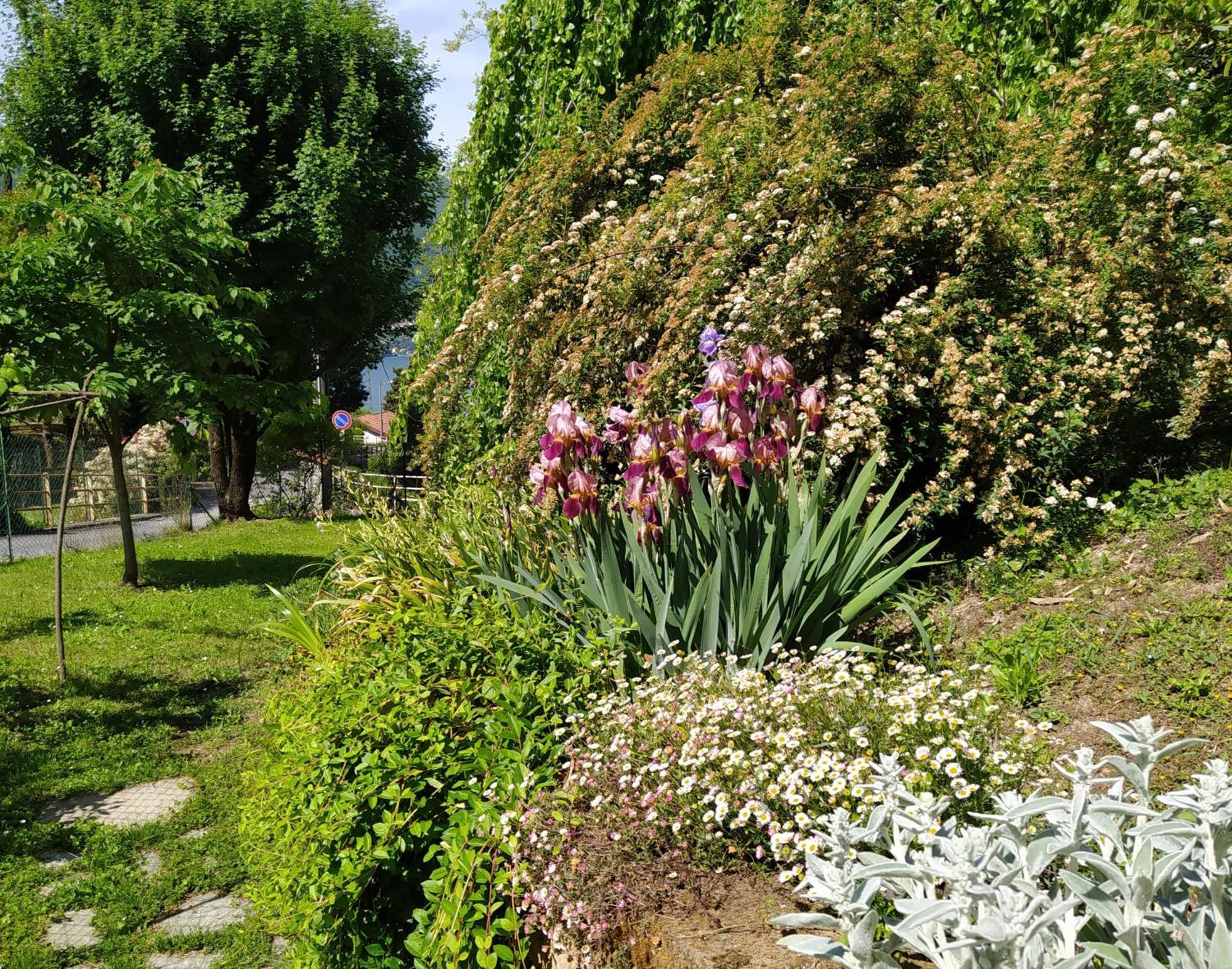 ליירנה Il Bogno B&B מראה חיצוני תמונה