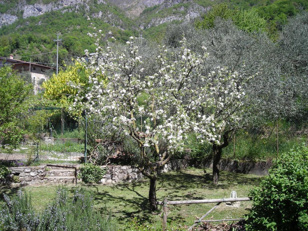 ליירנה Il Bogno B&B מראה חיצוני תמונה